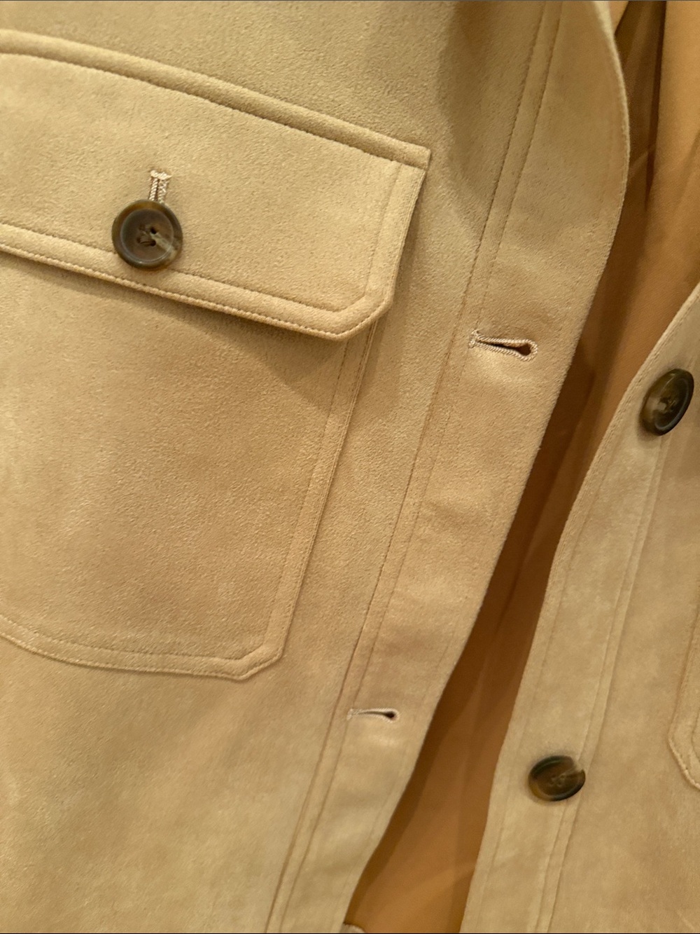 Bagatelle Suede Button-Front Jacket in Beige - Picture 3 of 4